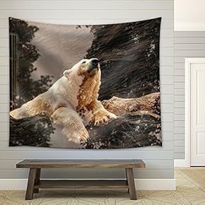 Polar Bear on The Rock - Fabric Wall Tapestry Home Decor - 51x60 inches