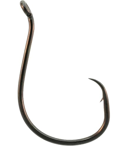 Daiichi D11Z 6/0 Octopus Circle Fishing Hook : Sports & Outdoors