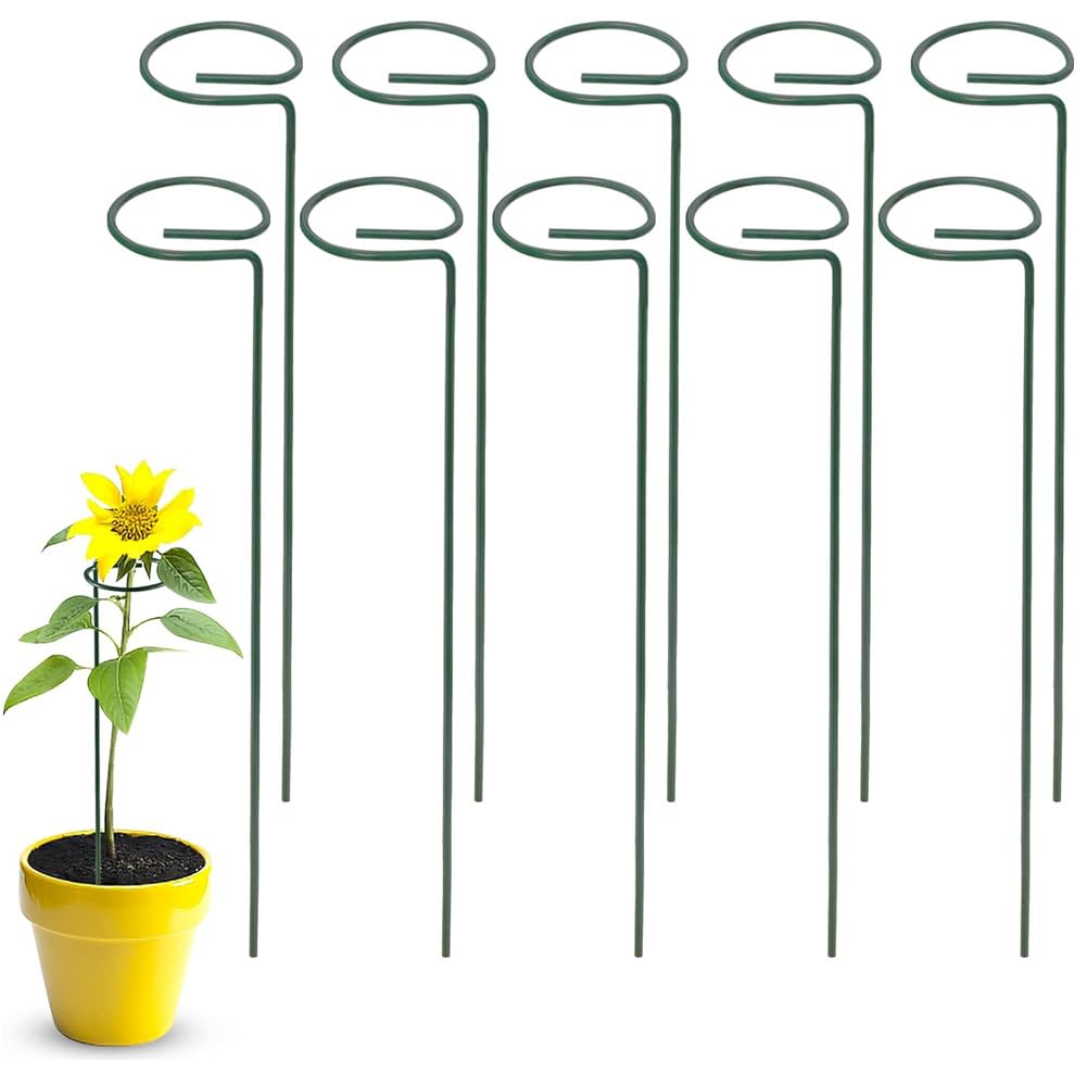 10PCS Plant Support Stakes, 40 cm 16 inch Garden Single Stem Support Stake Amaryllis Plant Cage Support Rings for Flowers, Tomatoes, Peony, Lily, Rose, Flower Stem (40 * 6cm)