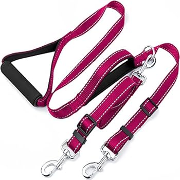 Taglory Dual Dog Leash for Two Dogs/Basic 6 Ft Dog Training Walking Leash with 2 Padded Handles/Double Dog Leash for 2 Dogs/Fuchsia