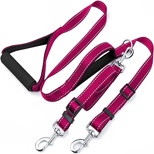 Best Dog Double Leashes Buying Guide GistGear