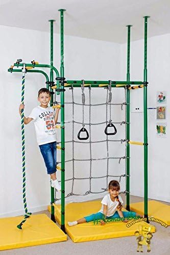 Carousel Indoor playground for kids /Jungle Gym /Swedish Wall/Training Sport Set with Swing/Climber/Climbing Rope/Basketball Hoop/Gymnastic Rings/School and Playroom Pressure Fitted Floor to Ceiling