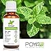 Peppermint Essential Oil 30 ml (1 fl. Oz.) - GCMS Tested, 100% Pure and Undiluted
