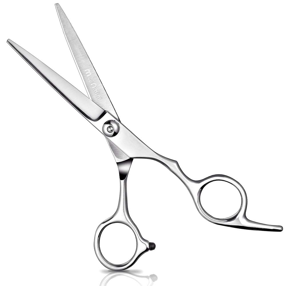 Hair Cutting Scissors 6.5 Inches Professional Hair Scissors Stainless Razor Edge Hair Shear for Women, Men, Barber, Salon, Home : Beauty