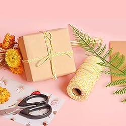 Twine String, 328 Feet Twine Rope, Twine Ribbon for