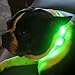 Blazin Light Up Dog Collar - The Original LED Dog Collar - USB Rechargeable - Waterproof - 1,000 Feet of Visibility - Dog Collar Light for Small, Medium, Large Dogs - USA Brand