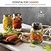 Bormioli Rocco Quattro Stagioni Glass Mason Jars - 12 Pack - (17 Ounce) with Gold Airtight Lid for Canning, Fermenting, Preserving, Storing, Italian Made Glass Jar