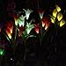 Chasgo Solar Decorative Garden Stake Light Outdoor, Led Lighting Calla Lily Flower Solar Graden Light Outdoor Stake, White Cally Lily Flower