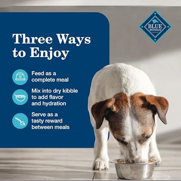 BLUE BUFFALO HOMESTYLE RECIPE BEEF DINNER AND CHICKEN DINNER SENIOR WET DOG FOOD VARIETY PACK 12.5 OZ. COUNT OF 6