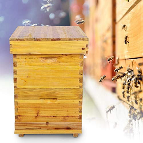 Bienenstock, Bee Hive Kit abschließen 10-Rahmen-Imkerbox-Kit Zedernholz