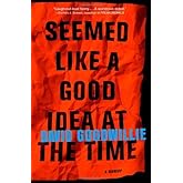 Seemed Like a Good Idea at the Time by David Goodwillie (2-Jun-2006) Hardcover
