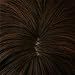 KeeWig Synthetic Brown Wig Long Wavy Chestnut Brown Frosted Light Auburn ANGEL #FS6/30