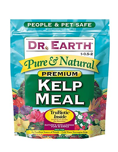 Dr, Earth Pure & Natural Kelp Meal 2 lb