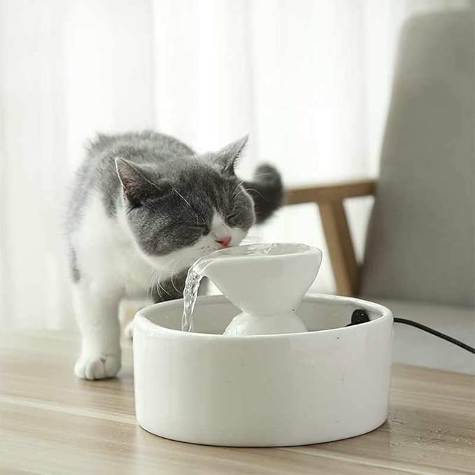CWYSJ Smart Cat Water Fountain Ceramic, Round Drinking Area, Pet Water
