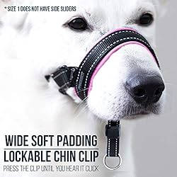 GoodBoy Dog Head Halter with Safety Strap - Stops