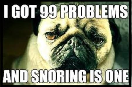 Imán para nevera de fotos de perro diciendo 99 problemas Funny ...