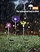 VIBELITE Solar Lights Outdoor,Solar Stake Lights, Life-Size Figurines LED, Dandelion & Lily & Sunflower - Color Changing-3pack
