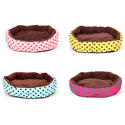 30 Best Selling Cat Beds Widest
