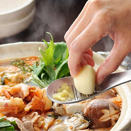 ISKYBOB Stainless Steel Garlic/Ginger Grater Grinder Zester Spoon