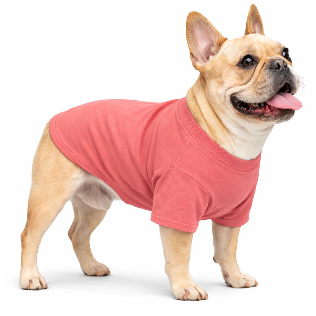 Lovelonglong Bulldog Clothes Dog Clothing Blank T-Shirt Tee Shirts for French Bulldog English Bulldog American Pit Bull Pugs 100% Cotton Skin Care Lotuspink B-M