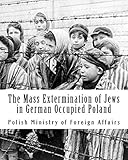 The Mass Extermination of Jews in German Occupied