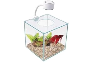 Marina CUBUS Glass Betta Kit – Elegant Glass Aquarium for Homes or Offices
