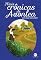 Livro Mais Crônicas de Avonlea (Anne de Green Gables)
