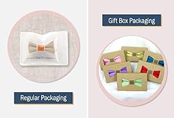 Spring Notion Boys' Pre-Tied Banded Satin Bow Tie