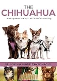 The Chihuahua: A vet's guide on how to care for your chihuahua dog