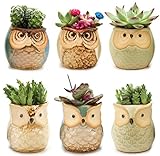 6pcs Owl Pot 2.5 Inch Ceramic Flowing Glaze Base Serial Set Succulent Plant  Cactus  Flower Pot Container Planter Small Bonsai Mini Pots With A Hole  Gife Idea