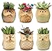 6pcs Owl Pot 2.5 Inch Ceramic Flowing Glaze Base Serial Set Succulent Plant  Cactus  Flower Pot Container Planter Small Bonsai Mini Pots With A Hole  Gife Idea
