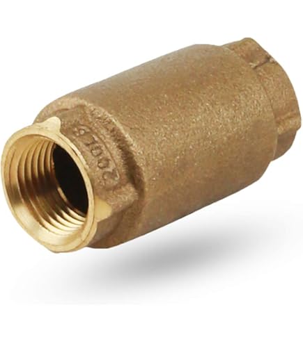 Amazon.com: Eastman Brass Swing Check Valve, 2 Inch IPS