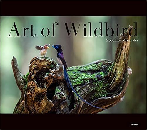 Art Of Wildbird アート オブ ワイルドバード 水中 伸浩 本 通販 Amazon