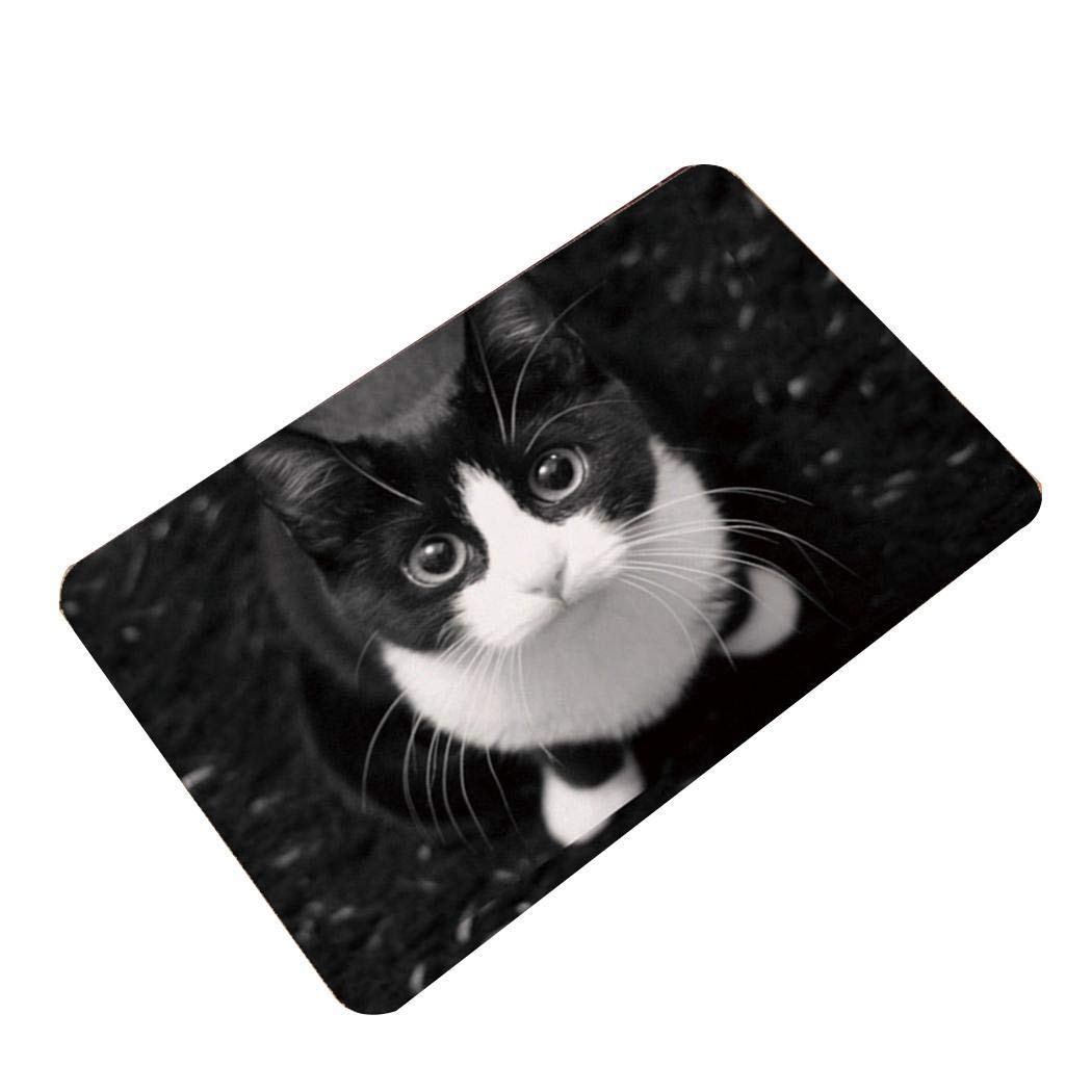 fnemo 1PCS Fashion Water-absorb Floor Bath Mat Charming Cats Memory Foam Anti-slip Floormat Area Rugs