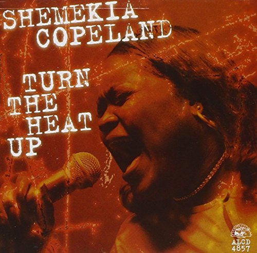 Shemekia Copeland - Salt in My Wounds Lyrics - Zortam Music