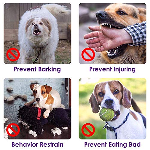 AutoWT Nylon Dog Muzzle, Adjustable Loop, Soft Flannel Padding, Comfortable Breathable Secure Quick Fit Muzzles for Small Medium Large Dog, Prevent from Biting, Chewing and Barking (M, Purple) - Thumbnail 4