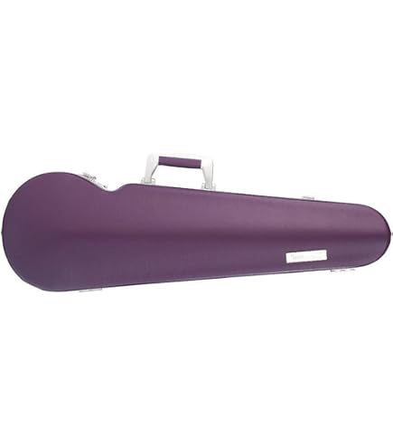 Amazon.com: Bam France Classic 5003S Shaped 4/4 Violin Case with