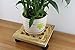 Yeme Pine Wood Square Plant Dolly/Caddy Plant Stand with Roller, 10