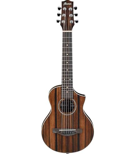 Amazon.com: Ibanez EWP14EOPN Cutaway 6 String Ovangkol Top Open