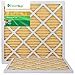 Filterbuy 18x18x1 Air Filter MERV 11 (MPR 1200) Allergen Defense Replacement (2-Pack), Electrostatic Pleated HVAC AC Furnace Filters, Made in USA (Actual Size: 17.75 x 17.75 x 0.75)
