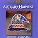 Wanda's Hat Beaded Counted Cross Stitch Halloween Ornament Kit Mill Hill 2006 Autumn Harvest MH18-6201