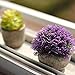 Velener Mini Plastic Artificial Pine Ball Topiary Plant with Pots for Home Decor (Purple)