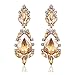 Miraculous Garden Women's Silver Gold Rose Gold Tone Plated Crystal Rhinestone Drop Earrings for Mother's Day (Gold tone plated champagne crystal)
