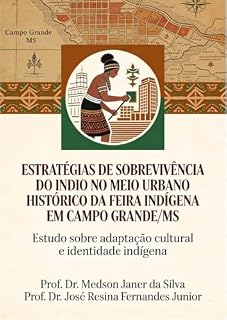 Livro Estratégias De Sobrevivência Do Índio No Meio Urbano Histórico Da Feira Indígena em Campo Grande/MG