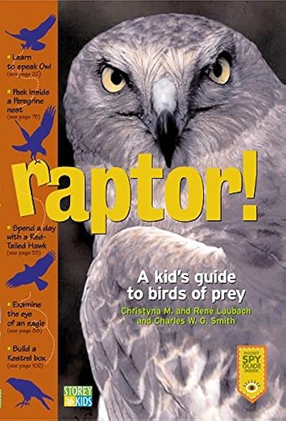 Raptor A Kid S Guide To Birds Of Prey Laubach Christyna M