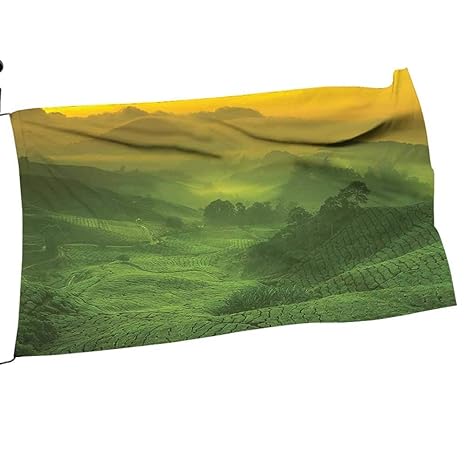 Amazoncom Painting Home Garden Flag And Pole Set View Tea - 