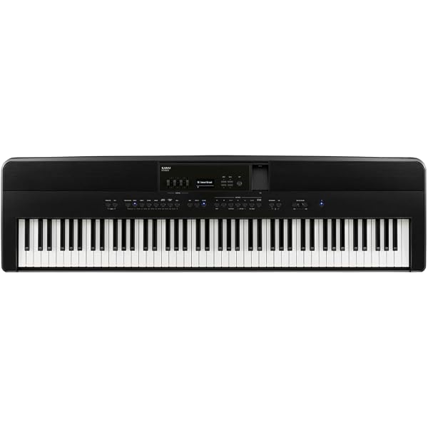 Amazon.com: Kawai SC-1 Bag Keyboard Gig Bag : Musical Instruments