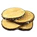 Woodlandia Basswood Disk 10x1 inches (Pack of 4)