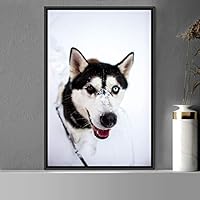 Framed Canvas Wall Art Pupper Animals Chic Dogs Multicolor Photography Urban - 16x24 inches