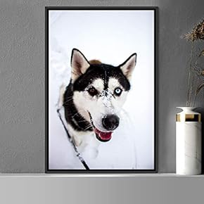 signwin Framed Canvas Wall Art Pupper Animals Chic...